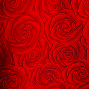 Parisian Coat in "Carmen"