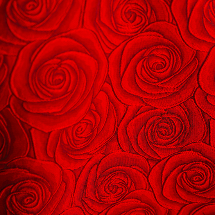 Parisian Coat in "Carmen"